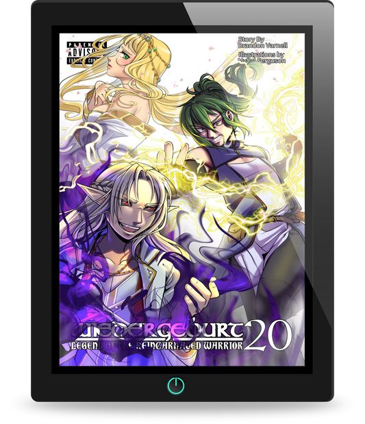 WIEDERGEBURT: Legend of the Reincarnated Warrior: Volume 20 (Light Novel)